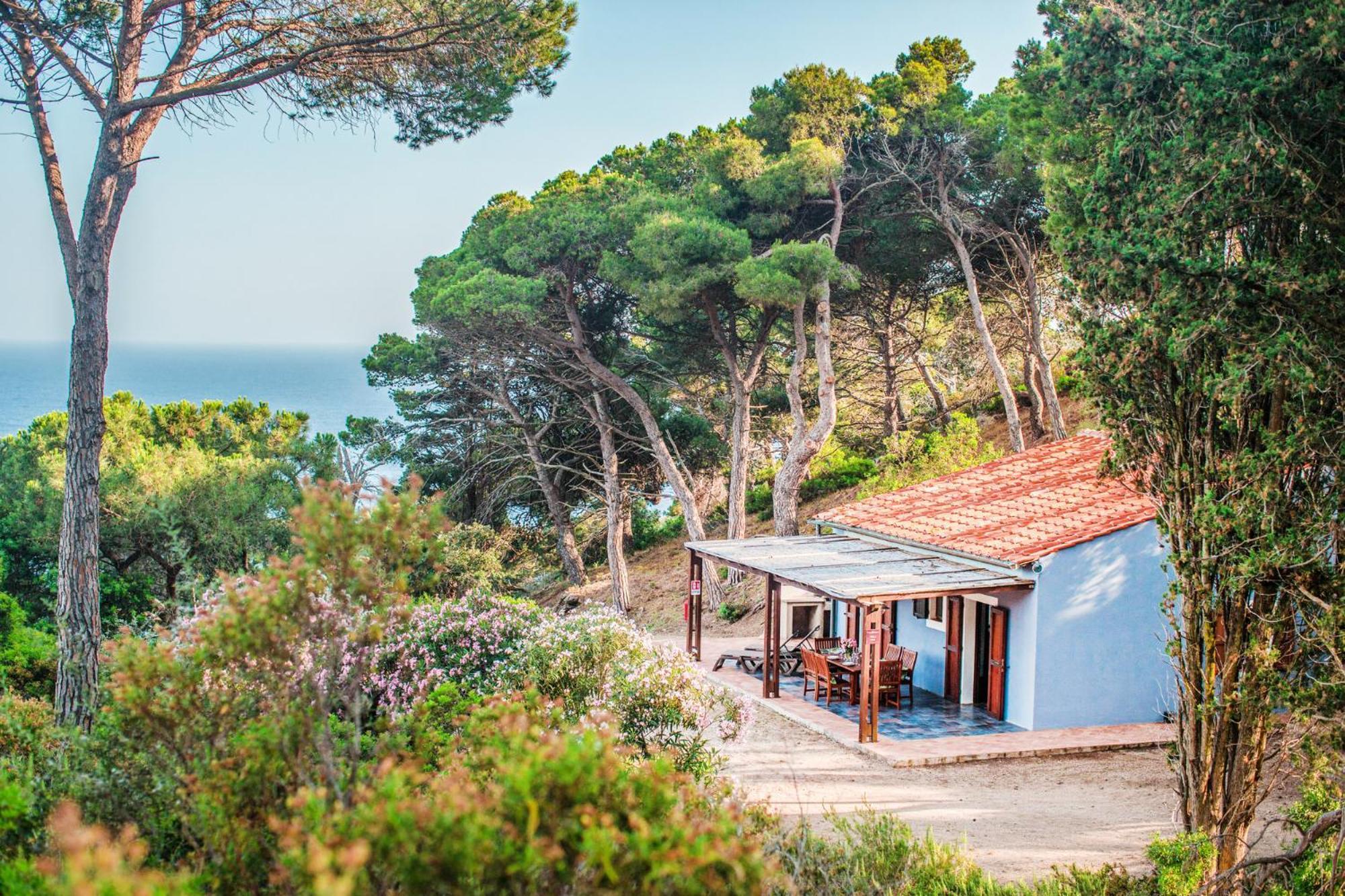 Tenuta Delle Ripalte กาโปลิเวรี ภายนอก รูปภาพ